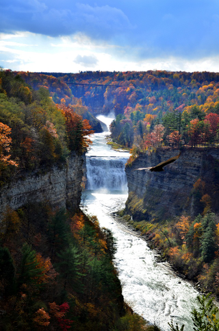 Illustration for article titled 100 Gorgeous Photos Of Fall Leaves
